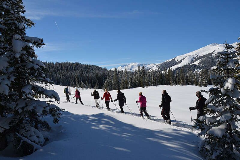  Snowshoe hike with the host of the Pension Zillertal